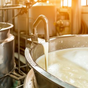 Dairy